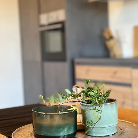 Fewo Martini- Mit Whirlpool,Terrasse Und Albcard