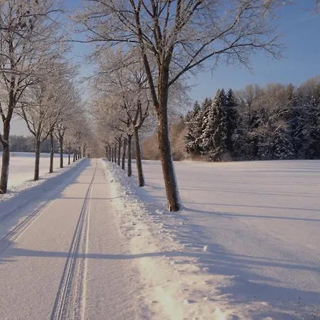 Fewo Martini- Mit Whirlpool,Terrasse Und Albcard * Hohenstein (Reutlingen)